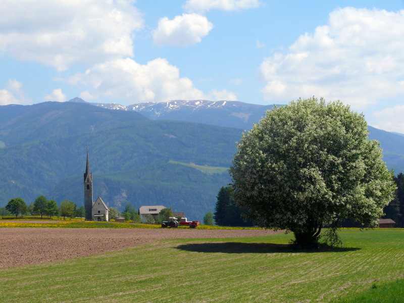 Scenari alpini